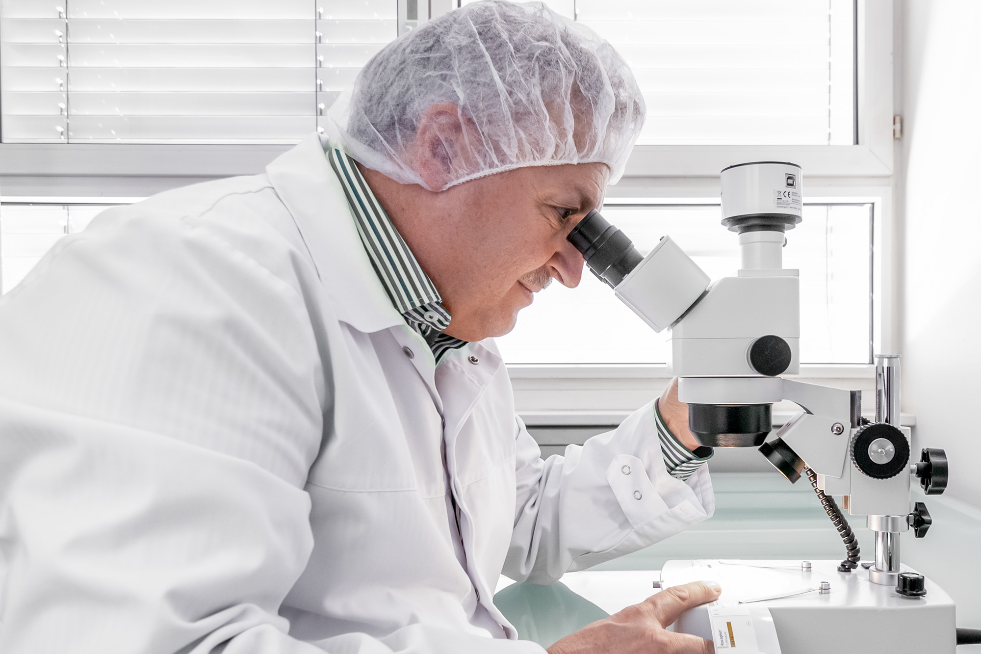 _MOE0596_Mikroskopie_Farbkorrektur_2000x1333px